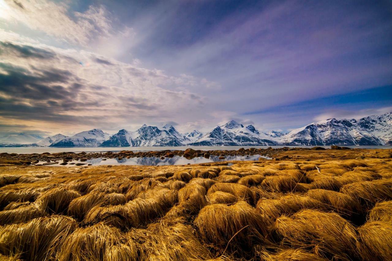 Olderdalen Lyngenfjord,Odins Hus 아파트 외부 사진