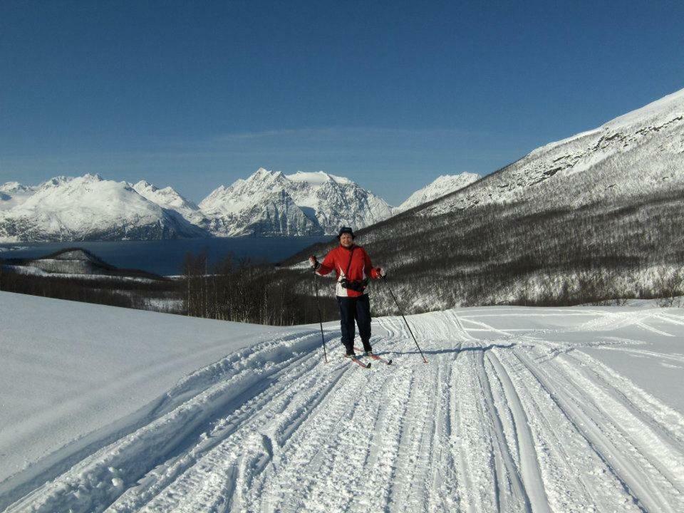 Olderdalen Lyngenfjord,Odins Hus 아파트 외부 사진